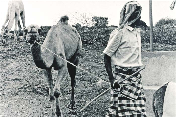 Haddish, Eritrea 1996. ©Thera Mjaaland/BONO 2022